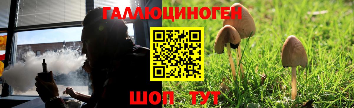Псилоцибиновые грибы Psilocybe Канаш