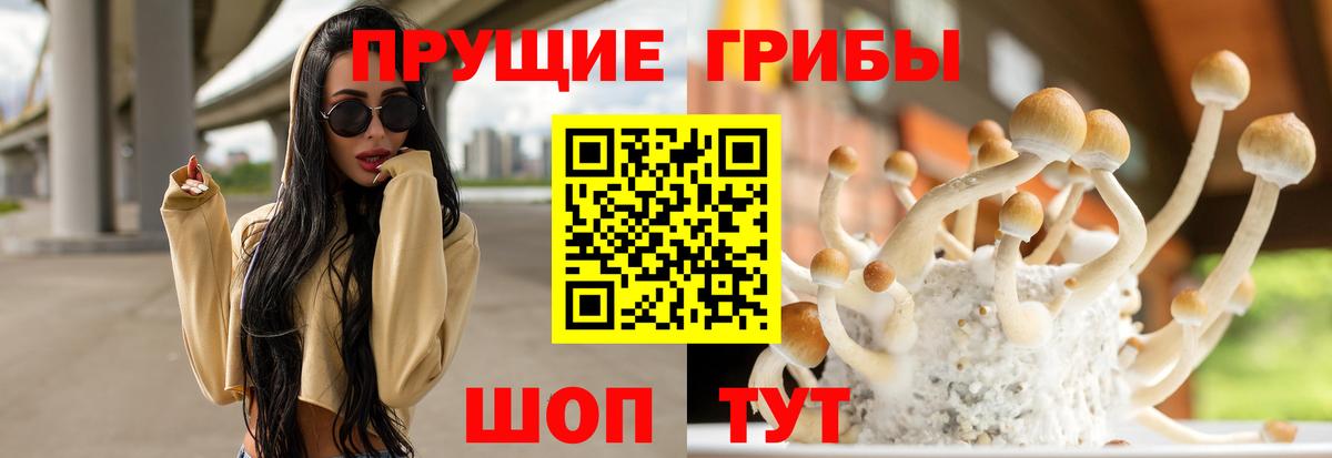 Галлюциногенные грибы мухоморы  Галлюциногенные грибы прущие грибы  Канаш  Вход с VPN 